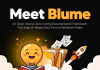 Meet Blume: An Open-Source, Zero-Config Documentation Framework