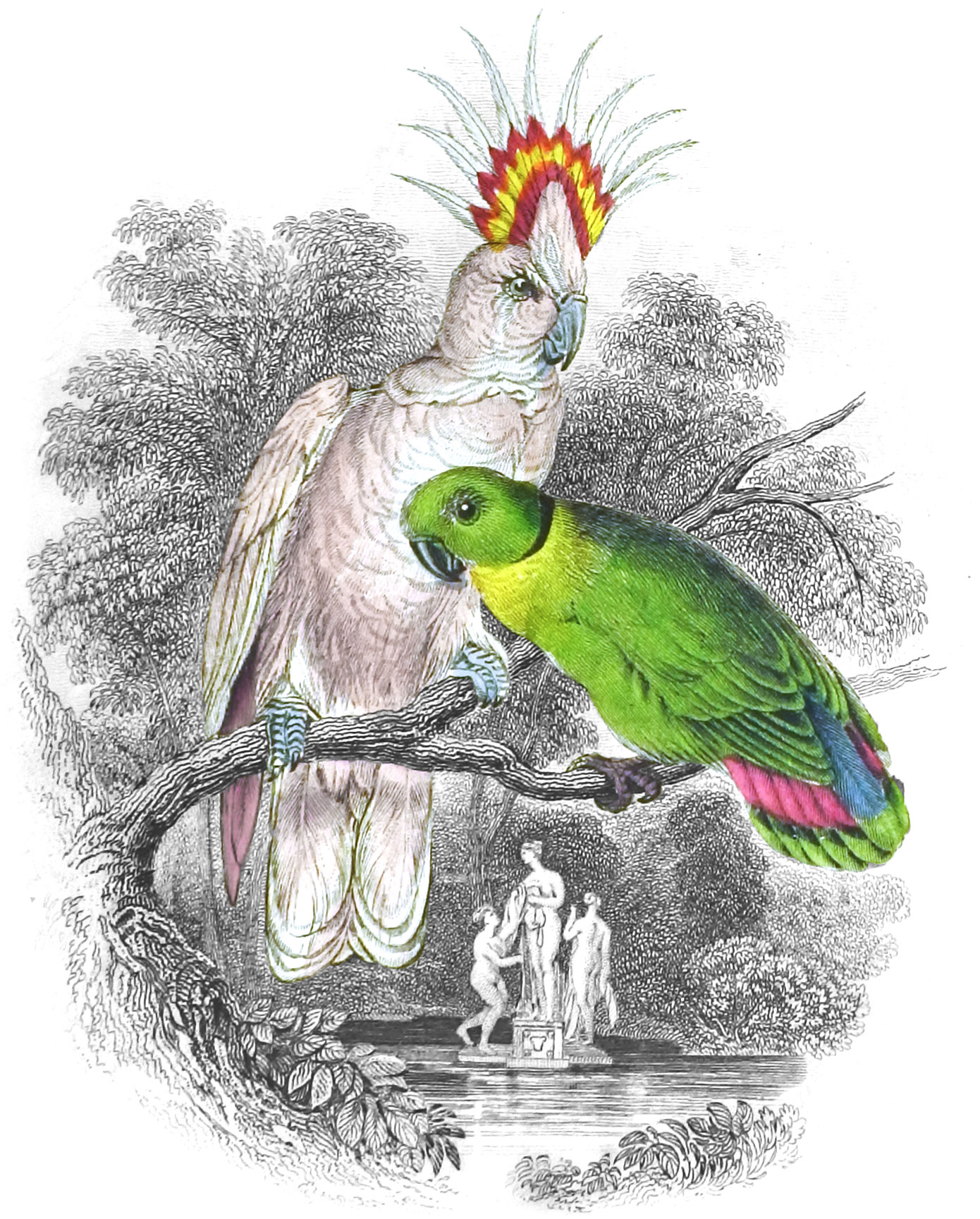 19世纪《博物学家图书馆》1300幅精美插画经AI修复后上线