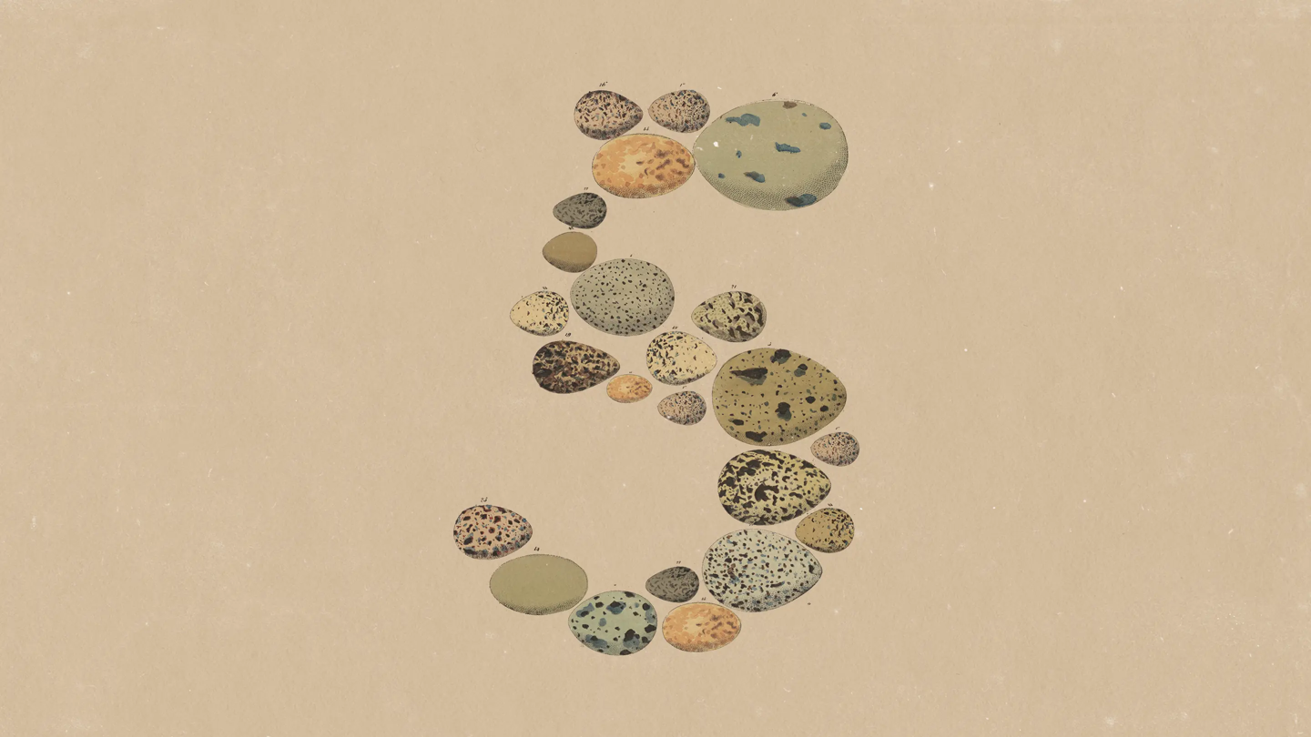 Anthropic Opus 5 출시: 성능은 Fable 5에 근접하지만 가격은 절반으로, ARC-AGI-3 기록 갱신