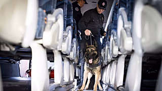 Interpol busts global human trafficking network, rescues 4,400 victims