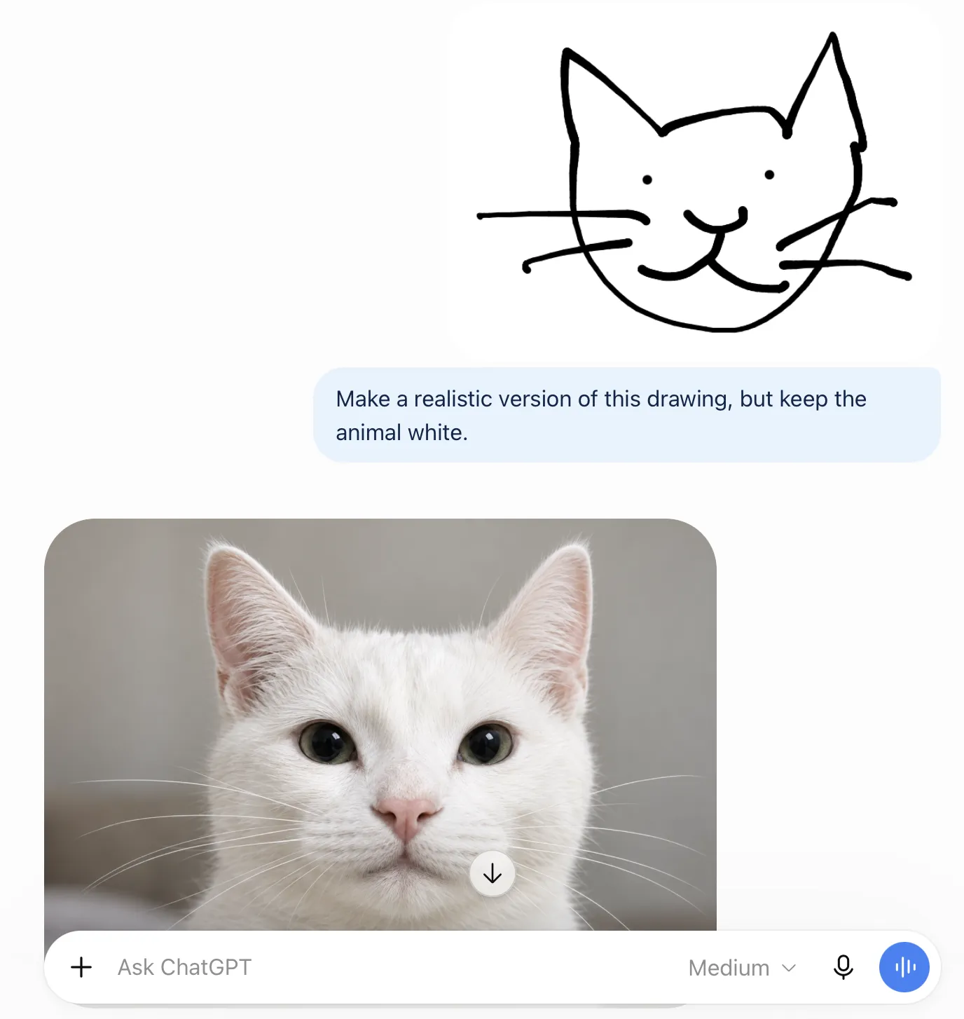 Screenshots of ChatGPT making a cat image based off of a sketch.