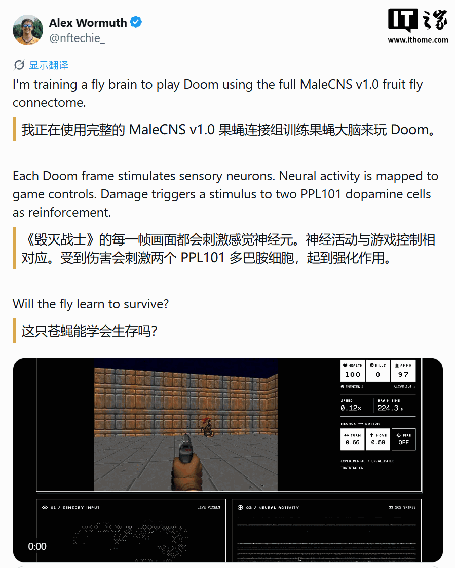 กูเกิ้ลวาดแผนที่สมองทั้งหมดของแมลงหวี่ผล MaleCNS v1.0 นักพัฒนานำมันมาใช้ฝึกเกม Doom